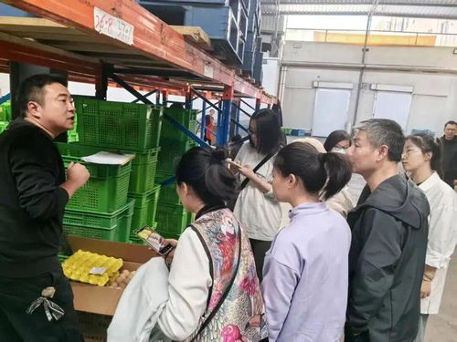 上海學生午餐蝦仁炒蛋引食品安全風波，監(jiān)管部門介入調(diào)查