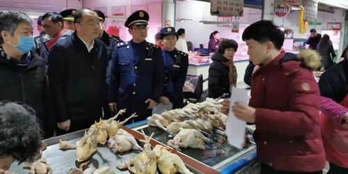 上海開展農(nóng)貿活禽交易市場疫情防控專項執(zhí)法檢查 保障食用農(nóng)產(chǎn)品批發(fā)安全