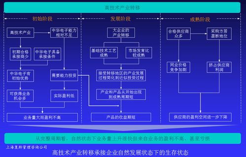 高技術產品企業盈利能力提升案例Ⅳ 以戰略咨詢為基點，驅動技術賦能與價值變現